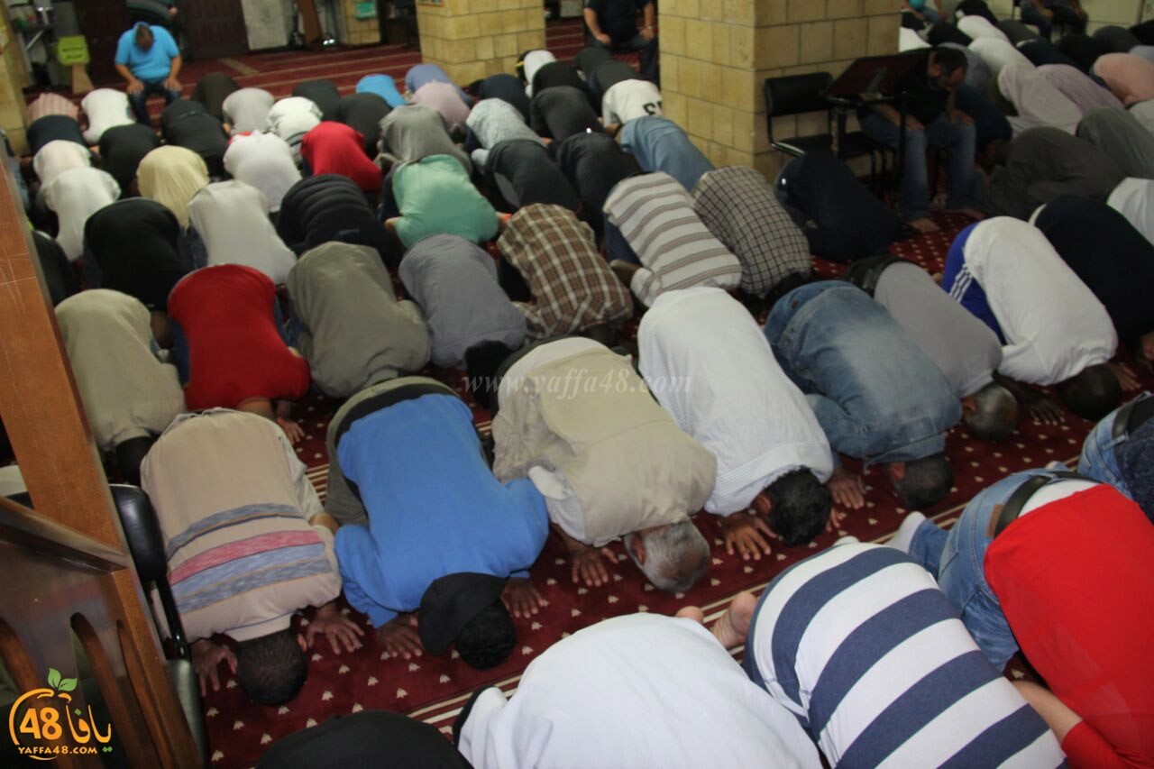 trawe7 salahsaj (9).jpg